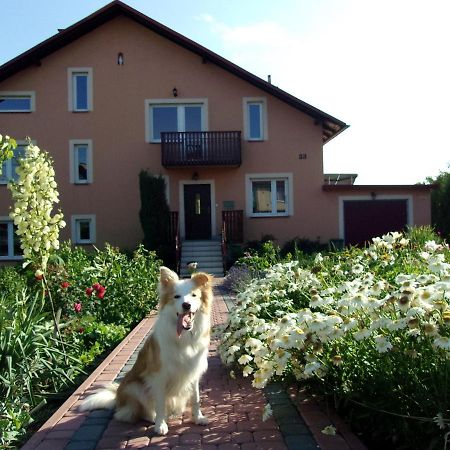Agroturystyka U Basi Wola Kalinowska Exterior foto