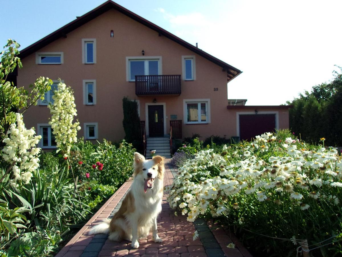 Agroturystyka U Basi Wola Kalinowska Exterior foto